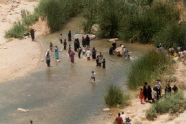 jordanie-natuurgebied wadi al-mujib - bedoeienen wassen wol