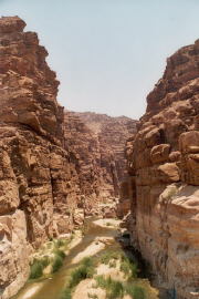 jordanie-natuurgebied wadi al-mujib 
