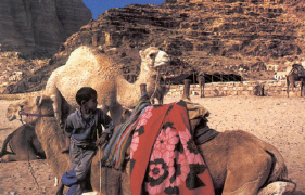 wadi rum - kamelen_bedoeen